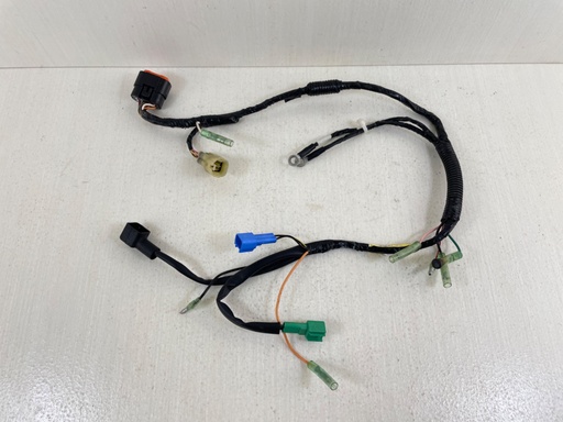 [012200] 2011 Yamaha 25HP 4 Stroke Outboard Engine Wire Harness Assembly 6BL-82590-10-00