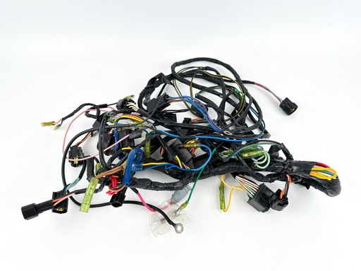 [065418] 1999 Yamaha 250 HP 2 Stroke Outboard Engine Wire Harness {mpn} OEM