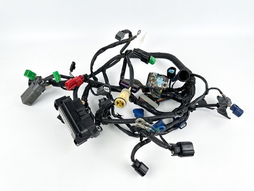 [065497] 2011 Honda 50 HP 4 Stroke Outboard Engine Wire Harness {mpn} OEM