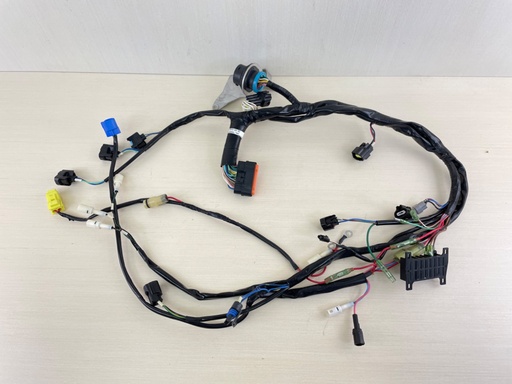 [012955] 2009 Mercury 25 30 HP 4 Stroke Outboard Engine Wire Harness Assembly 898101T52