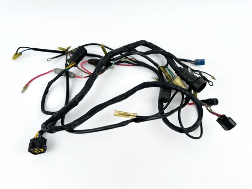 [069461] 2001 Yamaha 115 HP 2 Stroke Outboard Engine Wire Harness {mpn} OEM