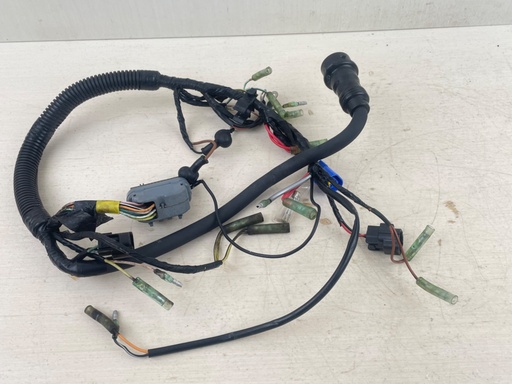 [014923] 2005 Yamaha 25HP 4 Stroke Outboard Engine Wire Harness Assembly 65W-82590-30-00