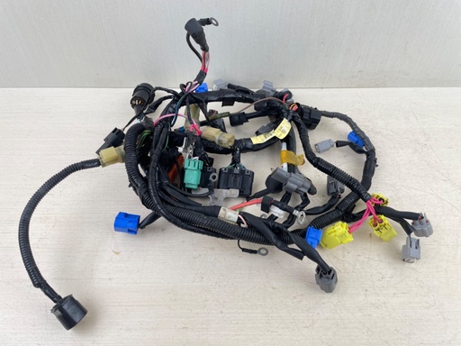 [014891] 2009 Yamaha 60HP 4 Stroke Outboard Engine Wire Harness Assembly 6C5-82590-40-00