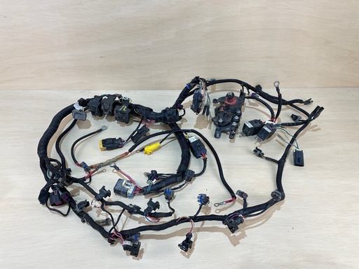 [2953] 2010 Mercury Optimax Pro XS 225HP Outboard Engine Wiring Harness 892971T05