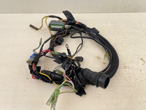 [014707] 1999-2005 Yamaha 25HP 4 Stroke Outboard Engine Wire Harness 65W-82590-40-00