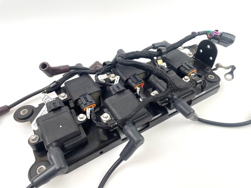 [016458] 2015 Mercury 250 HP 2 Stroke Outboard Ignition Coil Set W/ Plate 879984A1 OEM