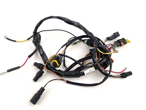 [016819] 2000 Johnson 225 HP 2 Stroke Outboard Engine Wire Harness 0586243 OEM