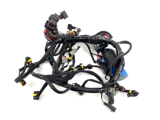 [016902] 2006 Evinrude 225 HP 2 Stroke Outboard Engine Wire Harness 0586769 OEM