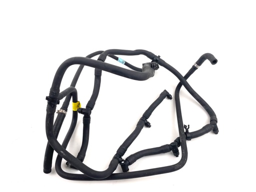 [016943] 2006 Evinrude 225 HP 2 Stroke Outboard Fuel Rail Set 5005356 5005355 OEM