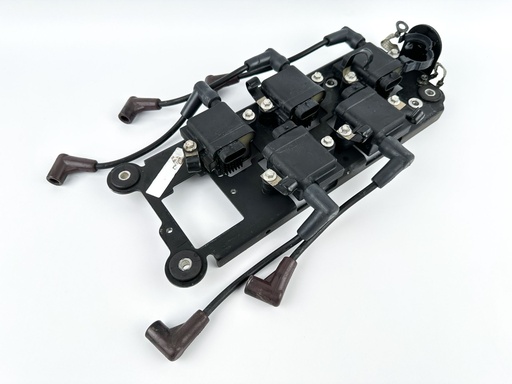 [074186] 2014 Mercury 250 HP 2 Stroke Outboard Ignition Coil Set W/ Plate {mpn} OEM