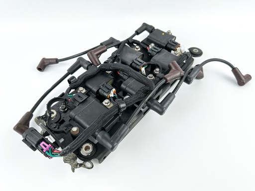 [074739] 2015 Mercury 250 HP 2 Stroke Outboard Ignition Coil Set W/ Plate {mpn} OEM