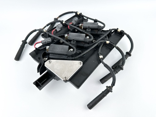[075890] 2004 Yamaha 225 HP 4 Stroke Outboard Ignition Coil Set W/ Plate {mpn} OEM