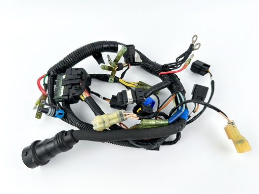 [076614] 2006 Yamaha 40 HP 4 Stroke Outboard Engine Wire Harness {mpn} OEM