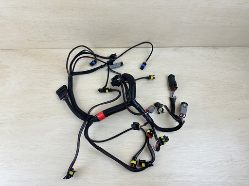 [3621] AF Evinrude Etec 25HP 2 Stroke Engine Wiring Harness Assembly 0587061