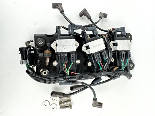 [080215] 2007 Mercury 225 HP 2 Stroke Outboard Ignition Coil Set W/ Plate {mpn} OEM