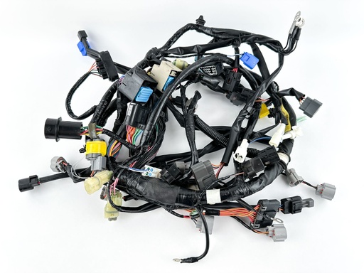 [080945] 2022 Yamaha 200 HP 4 Stroke Outboard Engine Wire Harness {mpn} OEM
