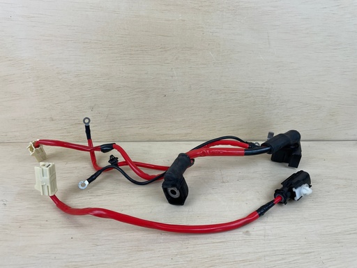 [3697] Yamaha 250HP Outboard Wire Harness Assembly 6CE-8259M-00-00