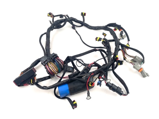 [016961] 2007 Evinrude 250 HP 2 Stroke Outboard Engine Wire Harness 0586769 OEM