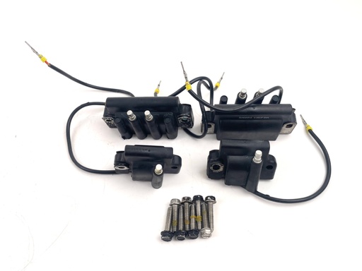 [016996] 2007 Evinrude 250 HP 2 Stroke Outboard Ignition Coil Set 0586857 0586854 OEM
