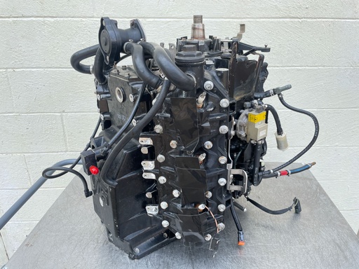 [017442] 2001-2005 Johnson Evinrude 200 225 250 HP Ficht 2 Stroke Outboard Powerhead