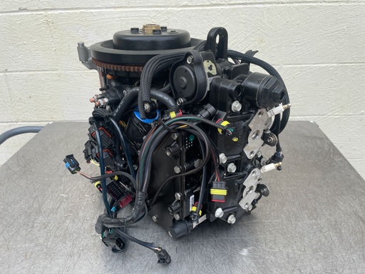 [019185] 2011 Evinrude 50HP 2 Stroke Outboard Powerhead 5007396 - Tested