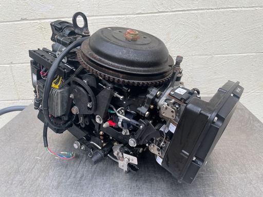 [017632] 2005 Johnson Evinrude 50HP 2 Stroke Outboard Powerhead 0437342 Tested