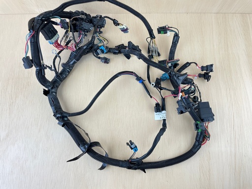 [3901] 2006 Mercury 60HP 4 Stroke Outboard Engine Wire Harness Assembly 893666T03