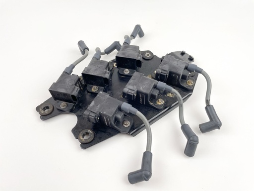 [021043] 2003 Mercury 200 HP 2 Stroke Outboard Ignition Coil Set W/ Plate 827509T7 OEM