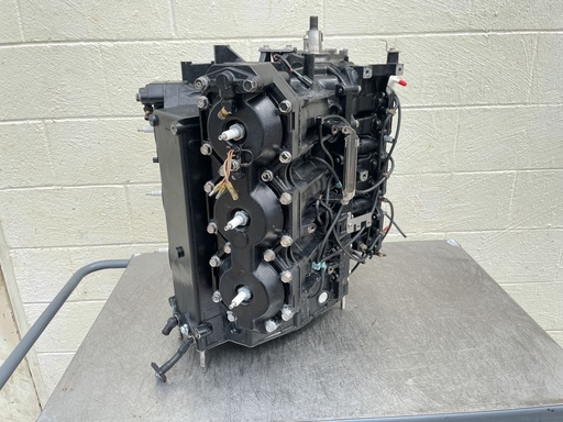 [021064] 1999 Mercury 225 HP 2 Stroke 3.0L Outboard Powerhead 809794A97 OEM