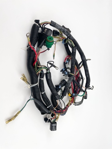 [021075] 1999 Mercury 225 HP 2 Stroke Outboard Engine Wire Harness 825433A10 OEM