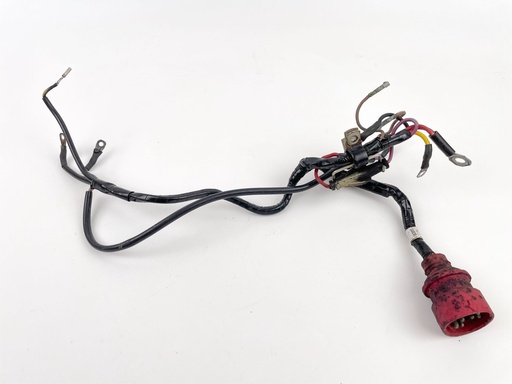[022446] 1985 Evinrude 50 HP 2 Stroke Outboard Engine Wire Harness 0583099 OEM