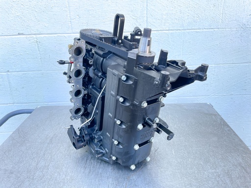 [022880] 2018 Mercury 60 HP 4 Stroke Outboard Powerhead 893678T03 OEM