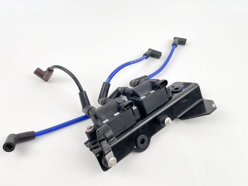 [022941] 2018 Mercury 60 HP 4 Stroke Outboard Ignition Coil Set W/ Plate 8M0044991 OEM