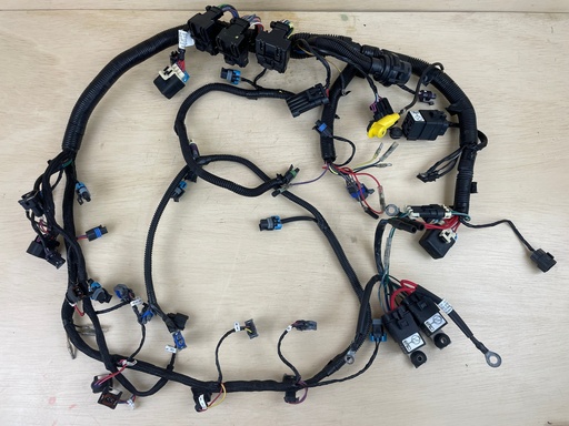 [3846] 2008 Mercury 225HP Optimax Outboard Engine Wiring Harness 892971T05