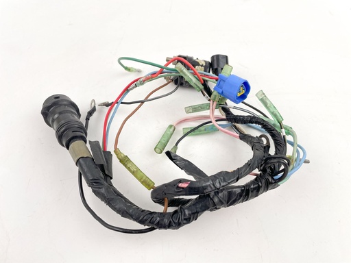 [029470] 1997 Yamaha 40 HP 2 Stroke Outboard Engine Wire Harness 63D-82590-20-00 OEM