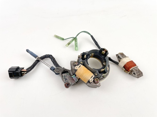 [027941] 1999 Yamaha 30 HP 2 Stroke Outboard Coil Pulser Base Stator Assembly 6H4-85510-F1-00 OEM