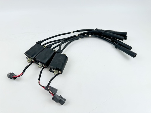 [031683] 2002-2009 Yamaha 200 225HP 4 Stroke Ignition Coil Set 69J-82310-00-00