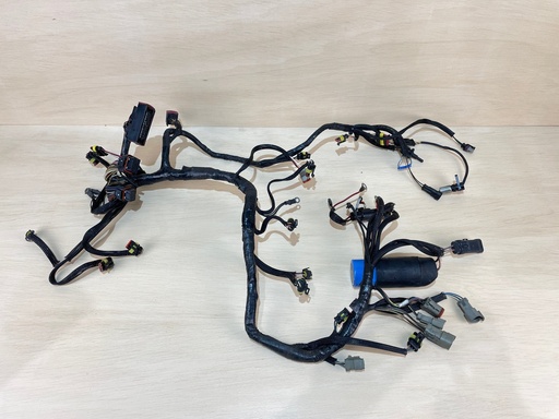 [2809] Evinrude Etec 225HP 2 Stroke Engine Electrical Harness Assembly